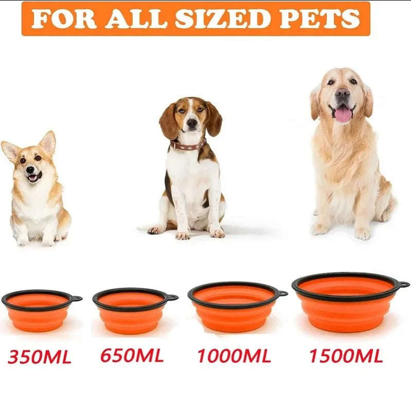 Dog Water Bowl