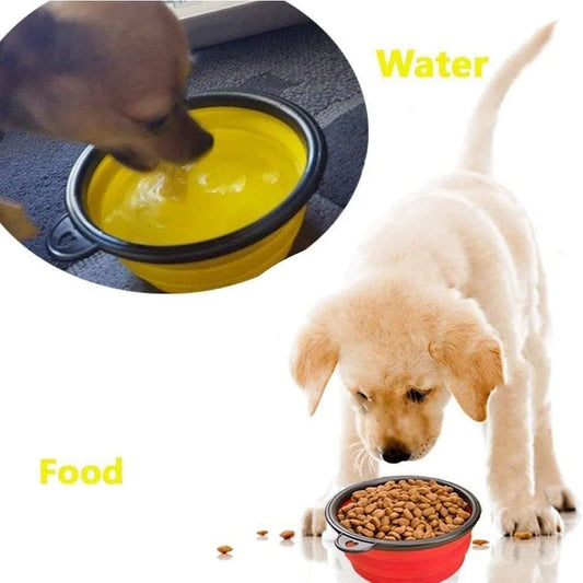 Dog Water Bowl